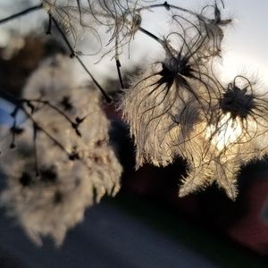 Meet your Posher, Heidi